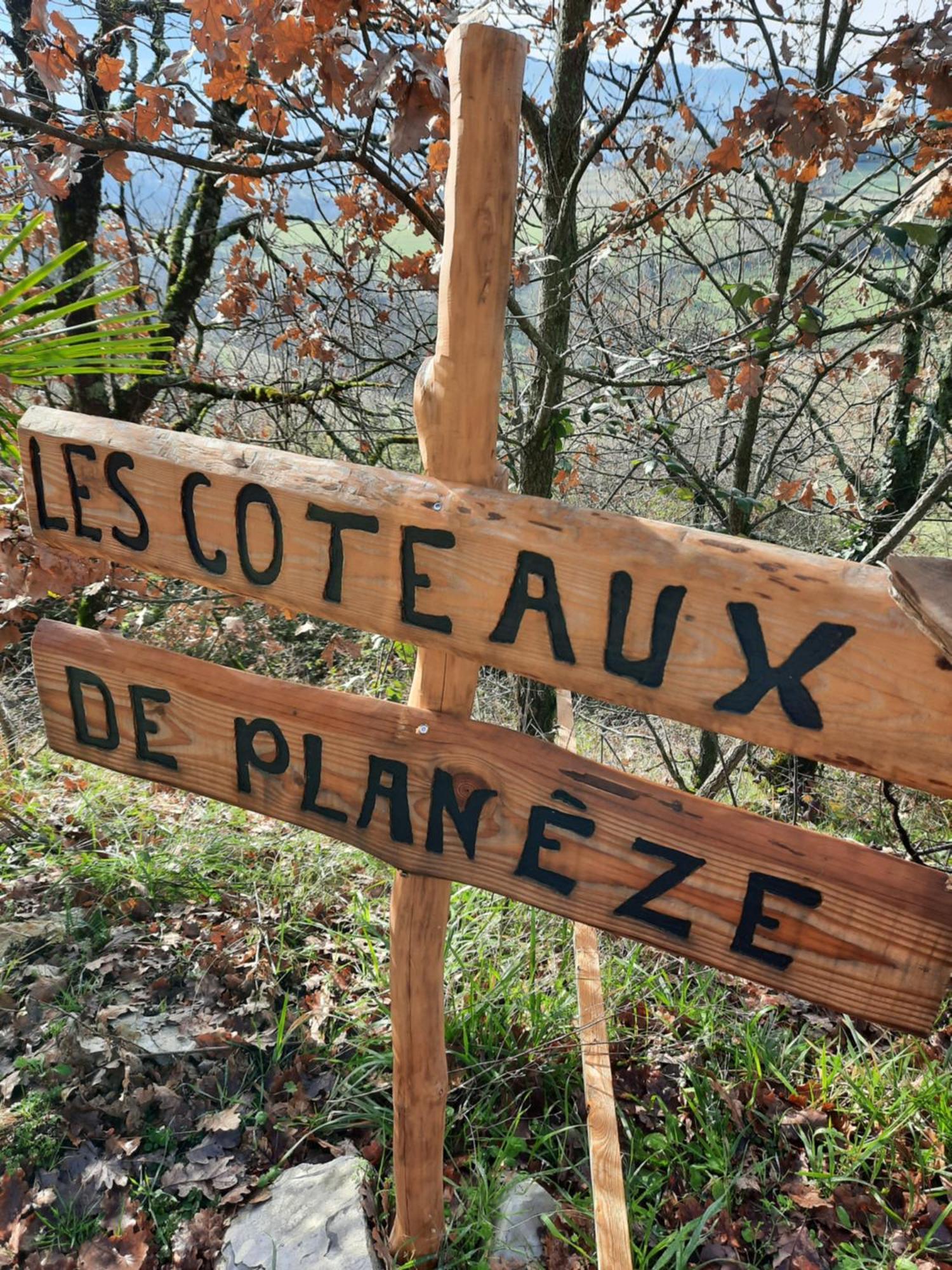 Les Coteaux De Planeze, Maison Et Jardin Dans Le Lot! Chambres Chez L'Habitant! Belmont-Bretenoux Ngoại thất bức ảnh